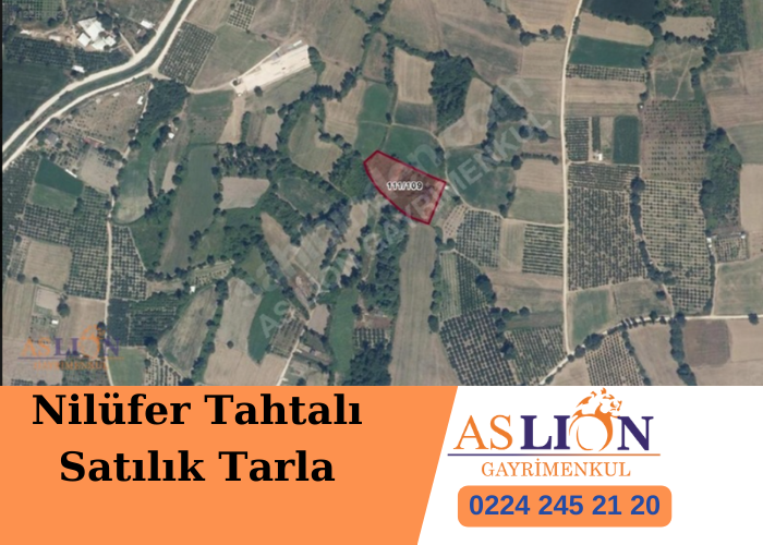 Nilüfer Tahtalı Satılık Tarla